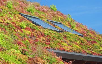 Lower Bodinnar living roof systems